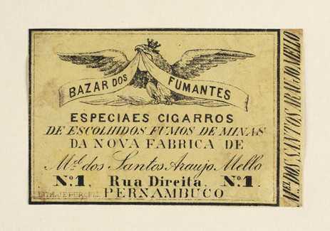vizualizar o documento on line